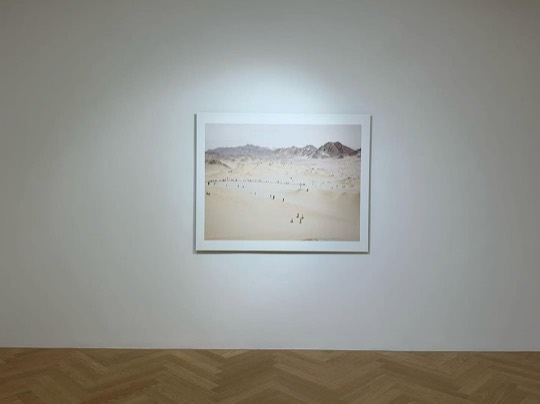 张克纯的摄影作品 8